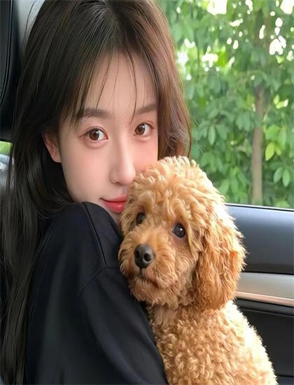 探索盗掘的奥秘：隐藏细节与深层意义